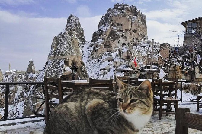 Private Day Trip to Cappadocia from Istanbul - Frequently Asked Questions