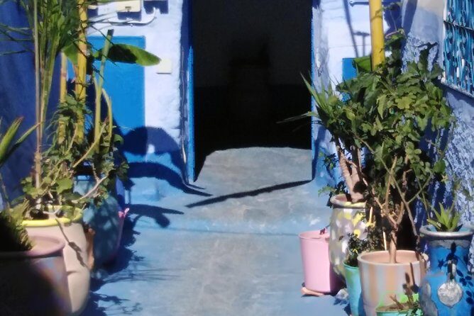 Private Day Trip to Chefchaouen from Fez - Who Should Take This Tour?