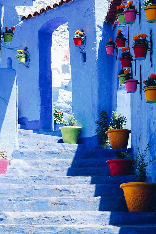 Private Day Trip to Chefchaouen from Fez - Exploring the Itinerary: What to Expect