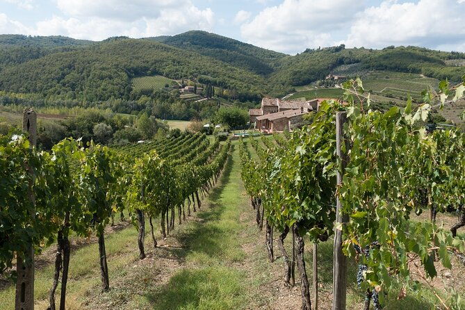 private-day-trip-to-chianti-from-florence