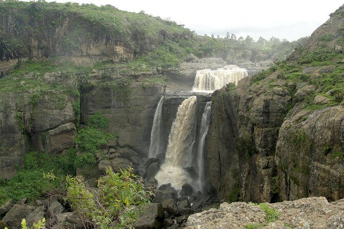 Private Day Trip to Debre Libanos Portuguese Bridge Galada Baboon - The Itinerary Breakdown: What to Expect on This Tour