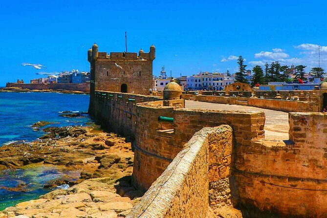 Private Day Trip to Essaouira and Argan Forest from Marrakech - The Journey to Essaouira: Transport and Timing