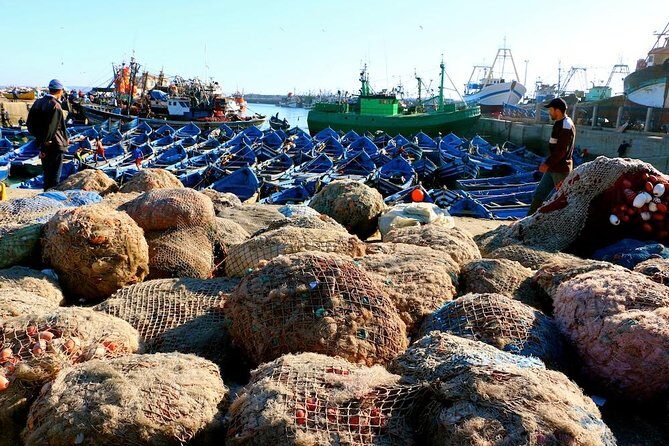Private Day Trip to Essaouira from Marrakech including 1h-camel - The Route and Its Highlights