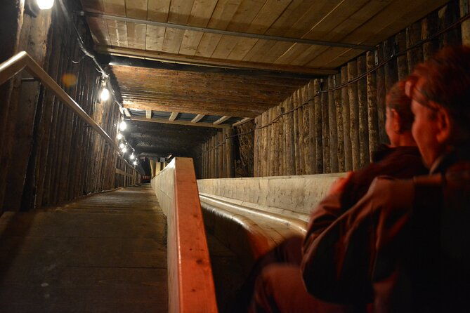 private-day-trip-to-hallstat-salt-mine-from-vienna-with-a-local