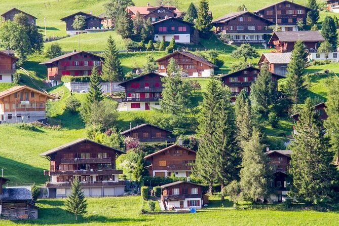 private-day-trip-to-harder-kulm-and-grindelwald