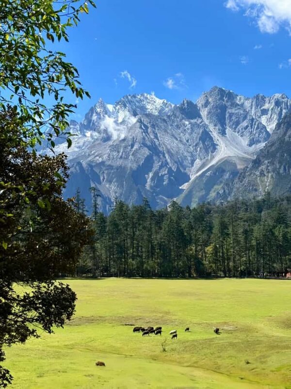 Private Day Trip to Jade Dragon Snow Mountain from Lijiang - Discover Jade Dragon Snow Mountain: An In-Depth Review of the Private Day Trip from Lijiang