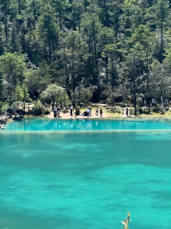 Private Day Trip to Jade Dragon Snow Mountain from Lijiang - The Experience and What Travelers Say