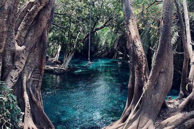 Private Day Trip to Kikuletwa Hot Springs in Kilimanjaro - The Sum Up