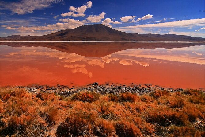 private-day-trip-to-laguna-colorada-from-uyuni-with-bilingual-guide