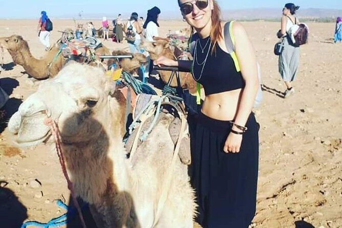 Private day trip to Marrakech from Casablanca - Why This Tour Offers Great Value