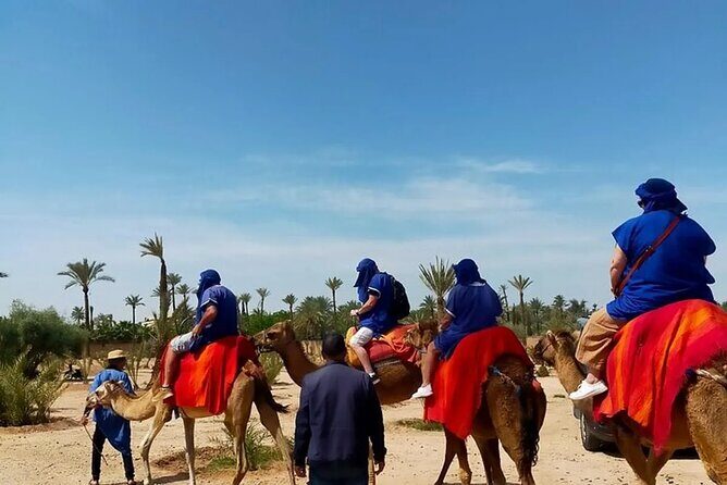 Private Day Trip to Marrakech from Casablanca with Camel Ride - Authentic Experiences and Authenticity