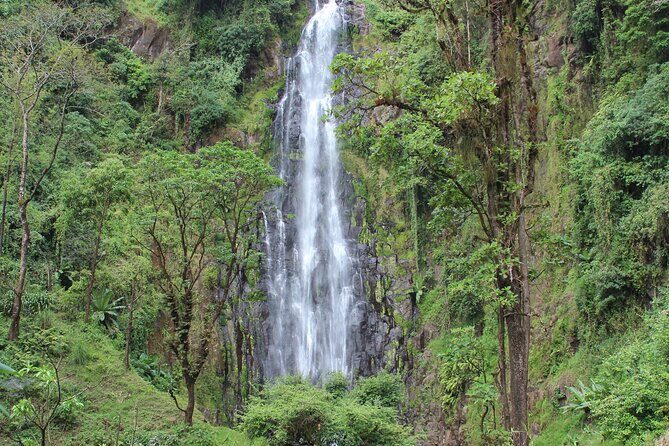 Private Day Trip to Materuni Waterfall and Coffee Tour - Key Points