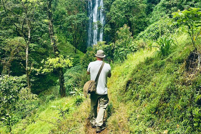 Private Day Trip to Materuni Waterfall and Coffee Tour - A Detailed Look at the Materuni Waterfall and Coffee Tour