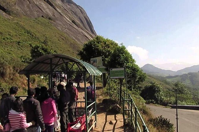 Private Day Trip to Munnar from Kochi (Cochin) - Discovering Munnar: A Practical Look at the Private Day Trip from Kochi