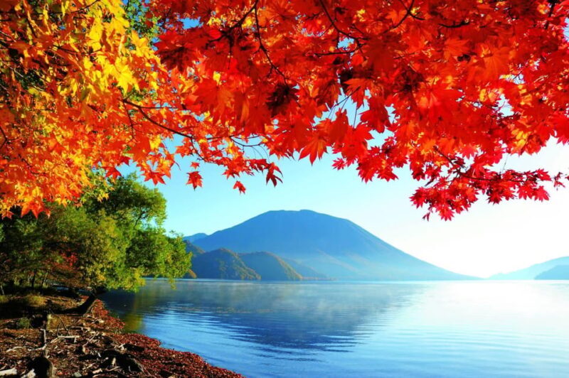 Private Day trip to Nikko with English speaking Guides - Why This Tour Offers Great Value