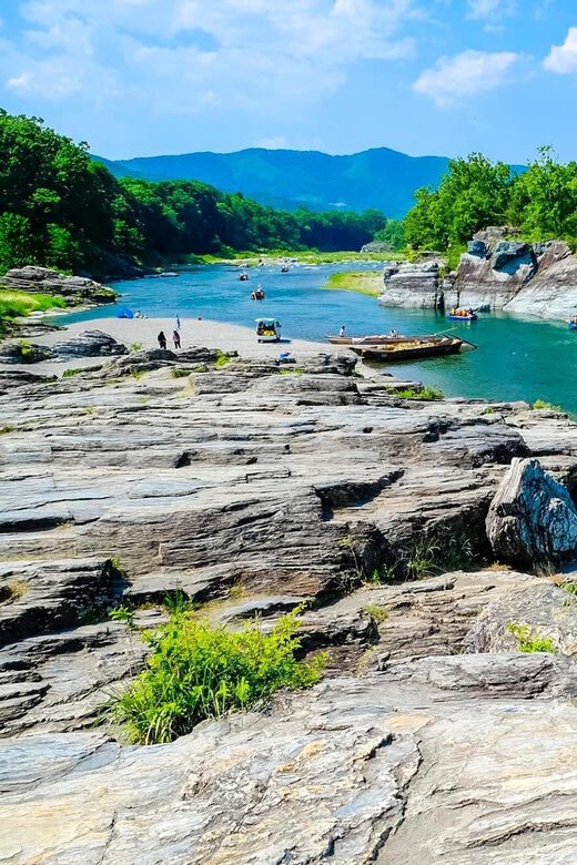 Private Day trip to Nikko with English speaking Guides - Who Should Consider This Tour?