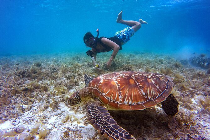 Private Day trip to Nusa Penida Snorkeling 4 Spots + Land Tour - What Travelers Love About This Tour