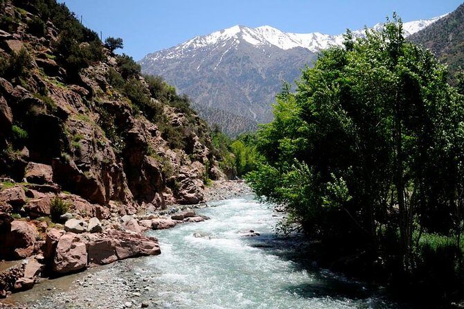 Private : Day trip to Ourika valley Atlas mountains - Exploring the Ourika Valley: A Detailed Review of the Private Atlas Mountains Day Trip