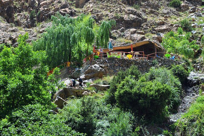 Private : Day trip to Ourika valley Atlas mountains - The Practicalities: Cost, Duration, and Value