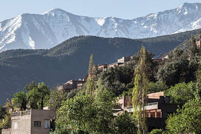 Private Day trip to ourika valley atlas mountains from marrakech - Transportation and Timing