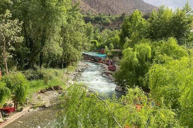 private day trip to Ourika Valley from marrakech - Why Choose the Ourika Valley Day Trip?