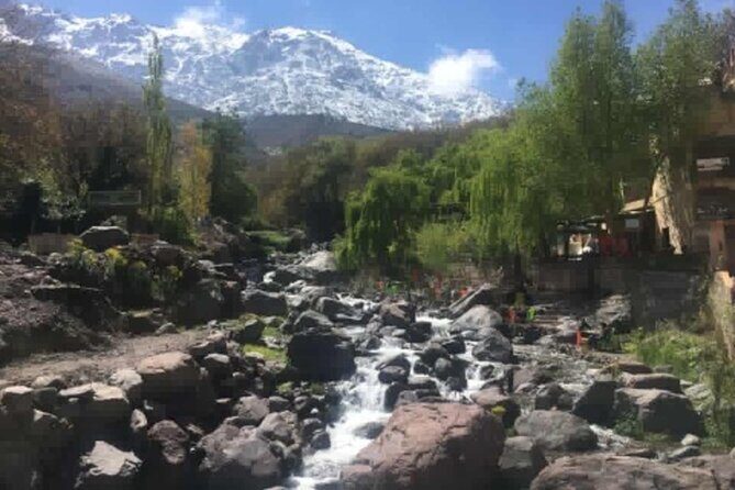private day trip to Ourika Valley from marrakech - Who Should Consider This Tour?