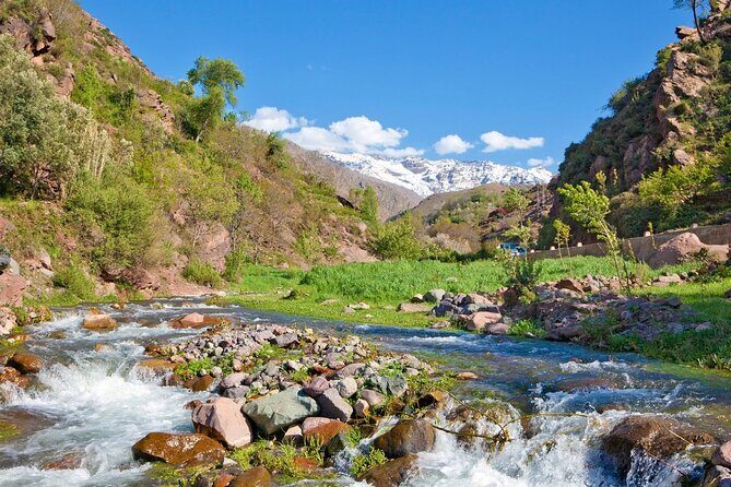 Private Day Trip to Ourika Valley from Marrakech with Lunch - The Lunch Break: Authentic Moroccan Flavors