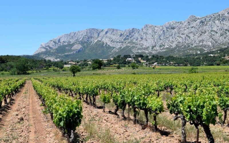 private-day-trip-to-provence-and-lavender-fields