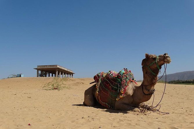 Private day trip to Pushkar from Jaipur - Who Would Love This Tour?