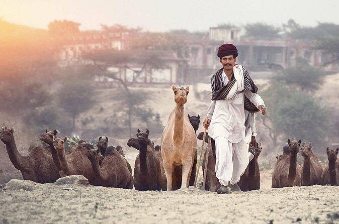 Private day trip to Pushkar from Jaipur - FAQ