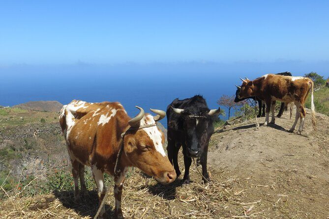 Private Day Trip to Santo Antao with Lunch - Key Points