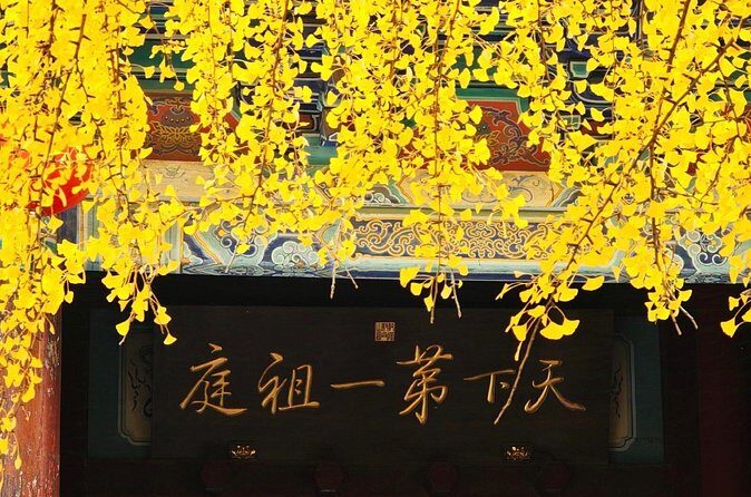 Private Day Trip to Shaolin Temple and Longmen Grottoes - The Sum Up