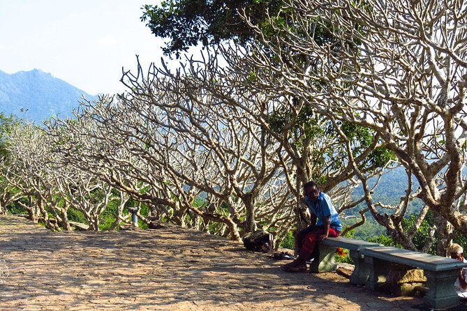 Private Day Trip to Sigiriya And Dambulla From Trincomalee. - Why the Tour Works for Travelers