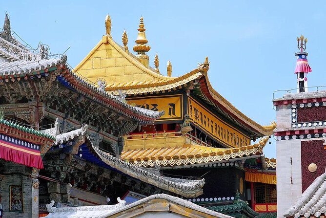 Private Day Trip to Taer Monastery and Lake Kokonor - Why This Tour Stands Out