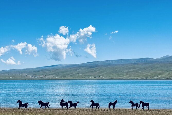 Private Day Trip to Taer Monastery and Lake Kokonor - FAQs