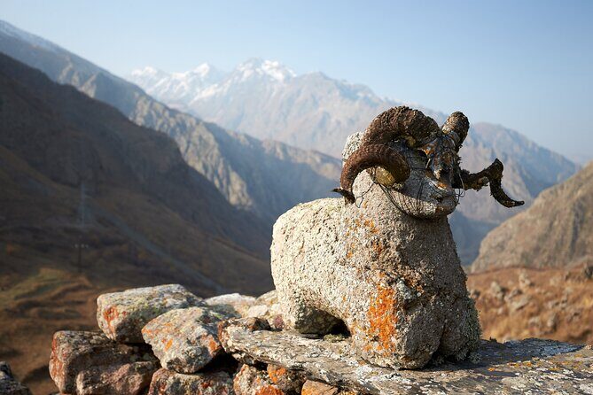 Private day trip to the Caucasus mountains and the Russian border - Value for Money