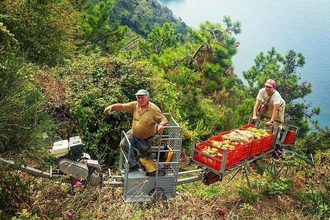 private-day-trip-to-the-cinque-terre-from-florence