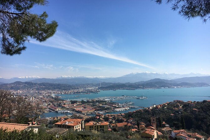 private-day-trip-to-the-cinque-terre-from-florence