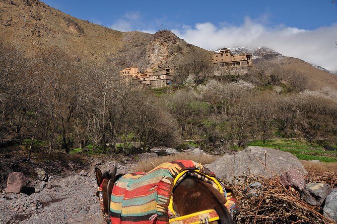 Private day trip to the High Atlas from Marrakech, - Key Points