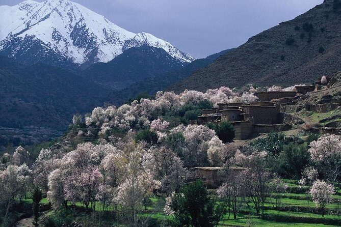 Private Day Trip to the High Atlas Mountains from Marrakech - Authentic Experiences and Practical Details