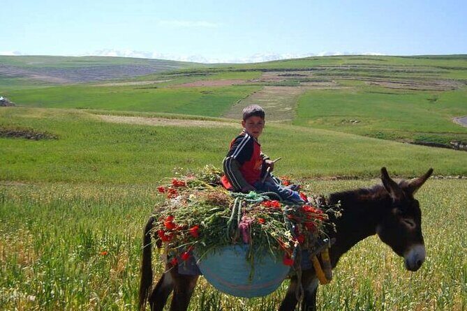 Private Day Trip to the High Atlas Mountains from Marrakech - FAQs