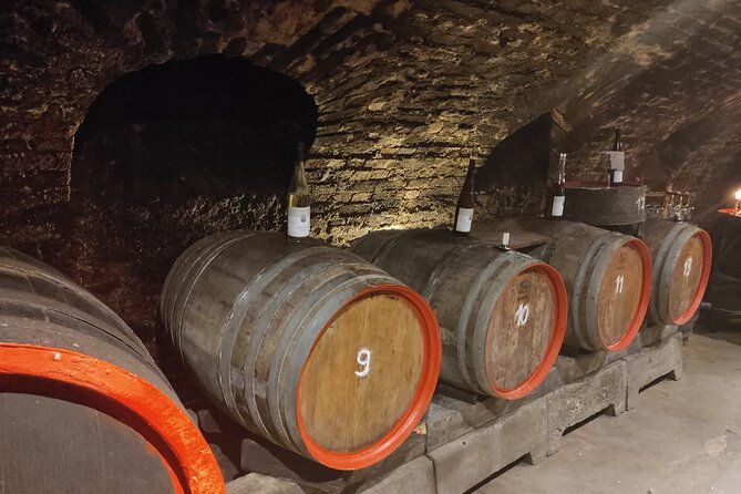 private-day-trip-to-the-romantic-rhine-valley-with-river-cruise-and-wine-tasting