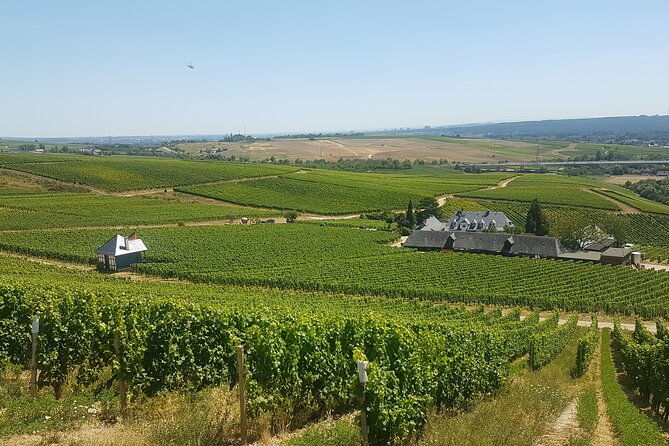 private-day-trip-to-the-romantic-rhine-valley-with-river-cruise-and-wine-tasting