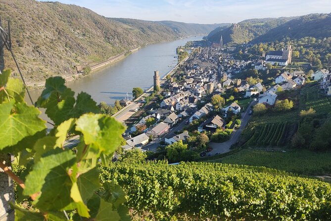 private-day-trip-to-the-romantic-rhine-valley-with-river-cruise-and-wine-tasting