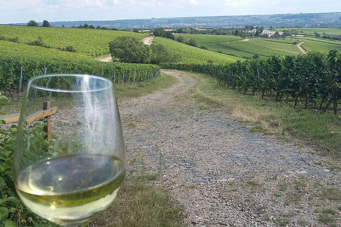 private-day-trip-to-the-romantic-rhine-valley-with-river-cruise-and-wine-tasting