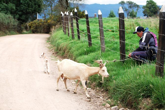 private-day-trip-to-traditional-towns-around-bogota-9-hrs