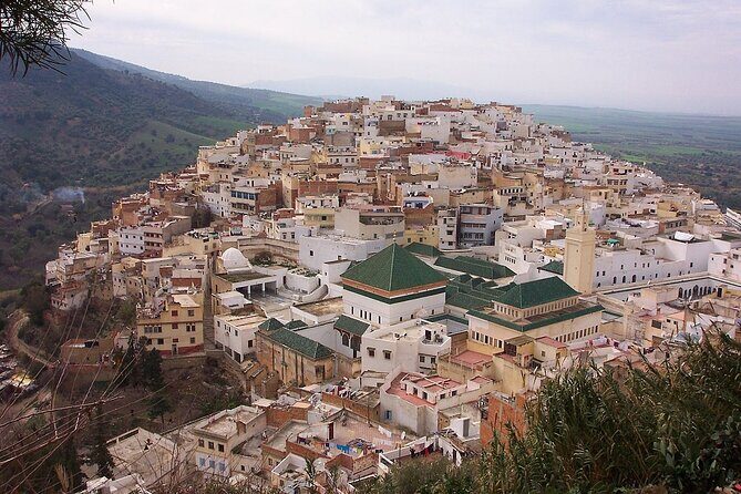 Private Day Trip to Volubilis Meknes and Moulay Driss From Fez - In-Depth Look at the Tour Itinerary