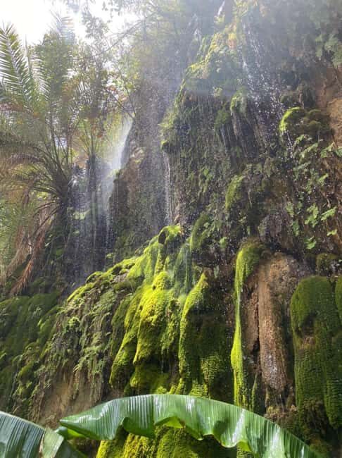 Private Day Trip to Wadi Tiwi, Fins Beach, Bimmah Sinkhole - Introduction