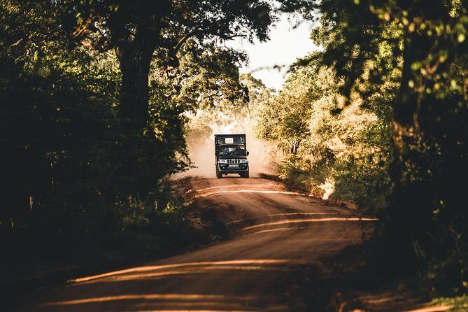 Private Day-Trip to Yala National Park Including BBQ Dinner on the Beach - Summary