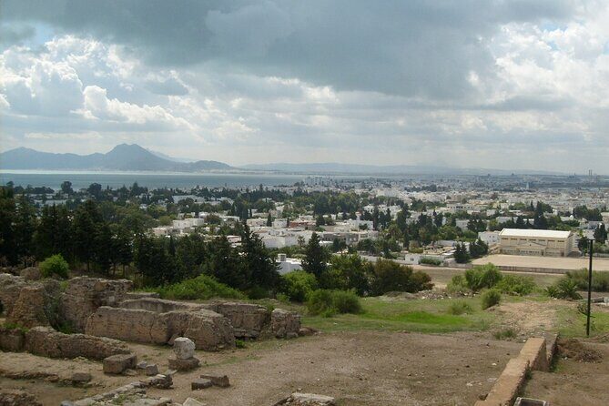 Private Day Trip Tunis Carthage Sidi Bou Said - The Itinerary in Detail